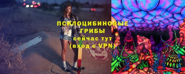 спиды Бронницы