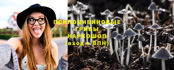 наркотики Богородск