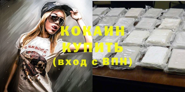 прущие грибы Богородицк