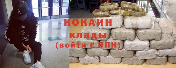 прущие грибы Богородицк