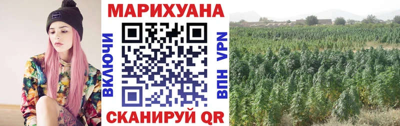 Шишки марихуана сатива Лодейное Поле